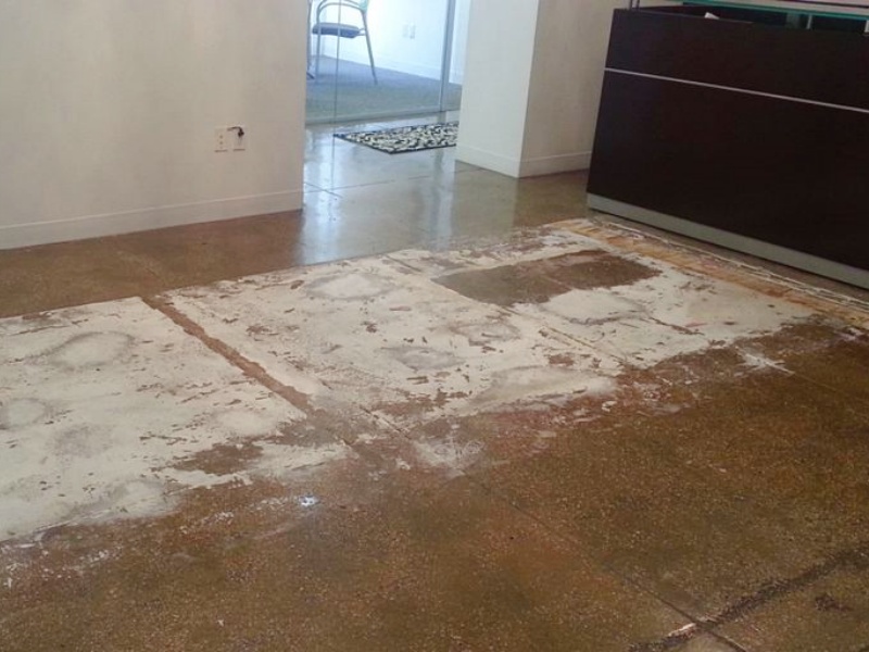 Solving the Challenge of Removing Adhesive Residue from Terrazzo Floors